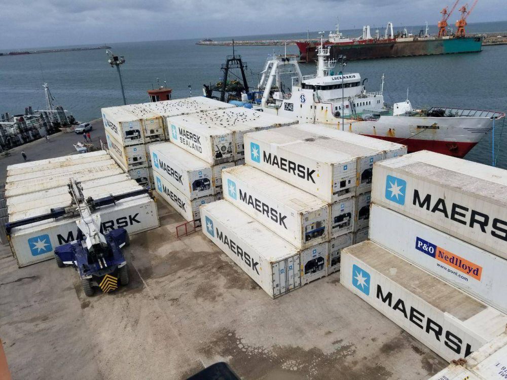 Aument un 20% el transporte martimo por contenedores desde Mar del Plata