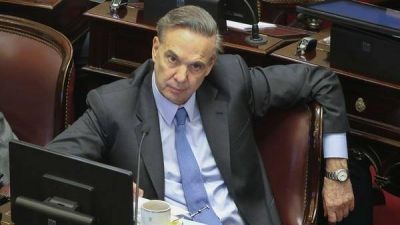 Miguel Pichetto asegur� que quiere ser candidato a presidente: 