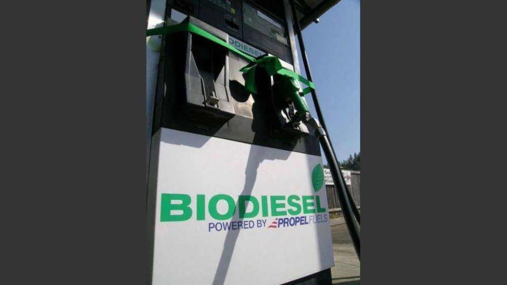 Por el freno de plantas de biodi�sel, piden cerrar la importaci�n de gasoil