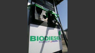 Por el freno de plantas de biodi�sel, piden cerrar la importaci�n de gasoil