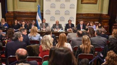 Aborto legal: el Senado debatir� el 8 de agosto el mismo proyecto que hab�a sancionado Diputados