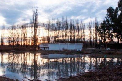 Denuncian que R�o Negro sigue contaminando al Colorado