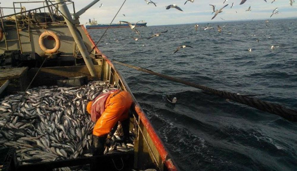 Pesca: en su cuarta jornada de paro, el SOMU ya logró acuerdos