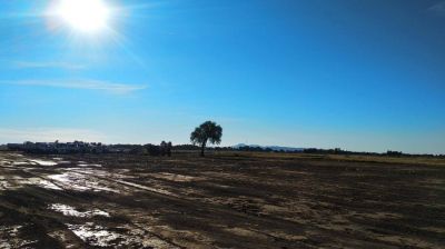 Adi�s al basural a cielo abierto de Cabildo