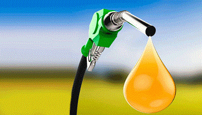 �Qu� son los biocombustibles?