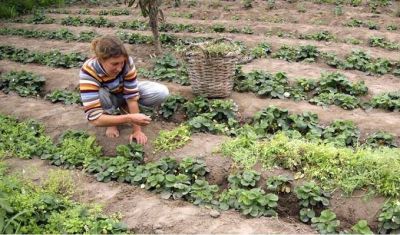 Desde la Municipalidad se denunci� �censura� a dos ingenieros que estaban por disertar sobre agroecolog�a