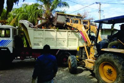 Tareas de recolecci�n de residuos voluminosos