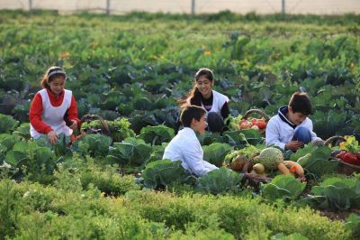 Buscan proyectos innovadores que transformen la realidad social