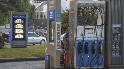 En el Senado piden que el Gobierno explique por qu� la nafta aumenta m�s en el interior