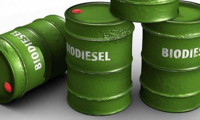 Alertan sobre una �tormenta perfecta� para el biodiesel