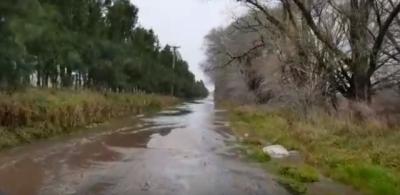 Tasa vial: la Rural tambi�n ir� a la Justicia si Arroyo veta la reducci�n