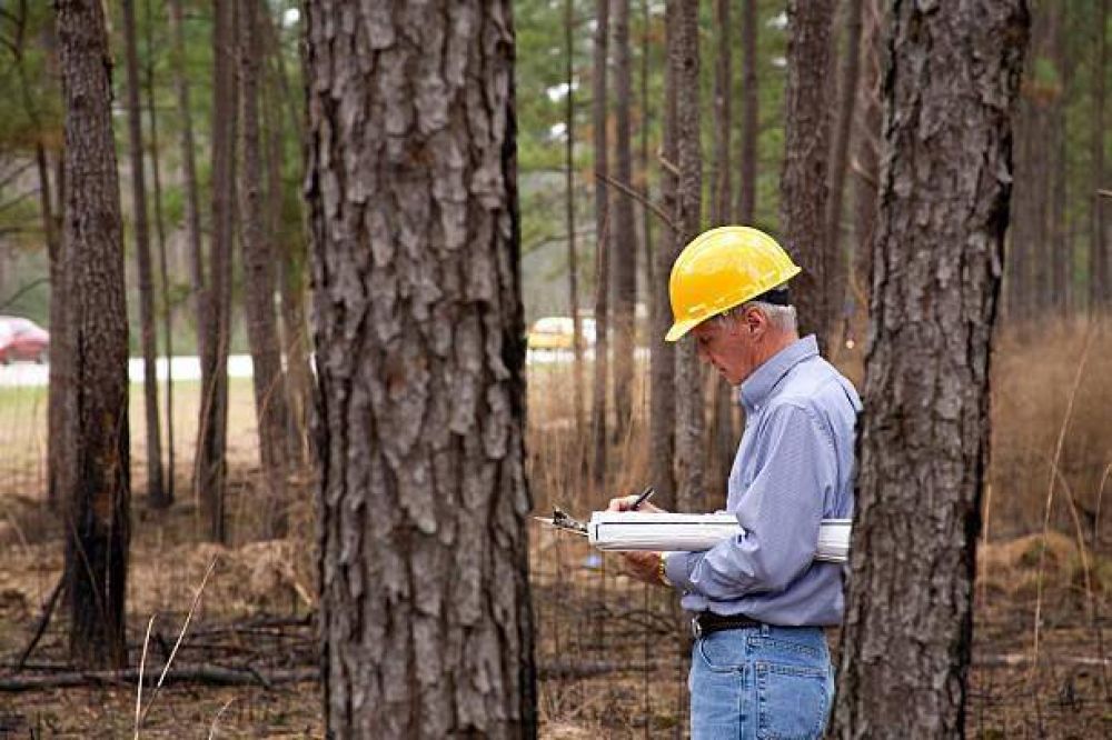 Ingenieros forestales, fundamentales en la gestin y preservacin de los bosques y su entorno