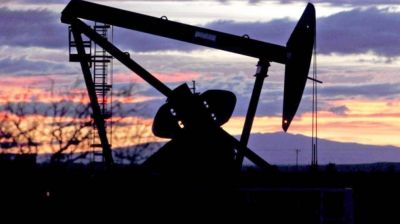 YPF fue el �nico oferente por un bloque del �rea CA 12