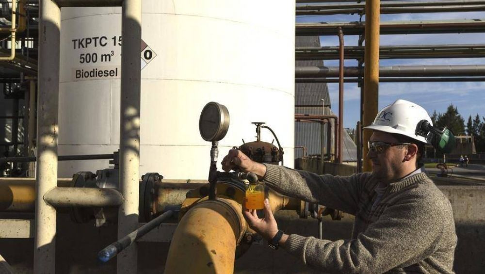 Liga Bioenerg�tica: la crearon entre 4 provincias tras los cambios en las retenciones