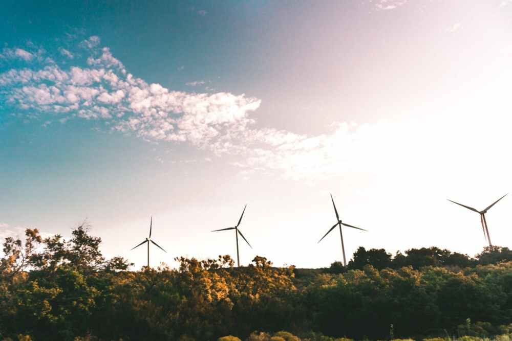 M�xico construir� 25 plantas de energ�a e�lica y 40 solar en pr�ximos tres a�os