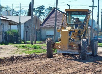 Mejoraron las condiciones clim�ticas y se reactiv� el plan de entoscado