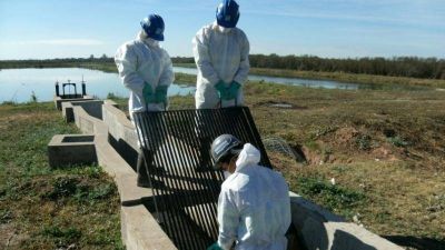 Aguas del Norte contin�a las mejoras en sistemas de tratamiento de l�quidos cloacales