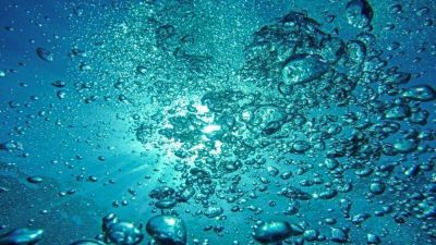 Agua: claves para proteger el 
