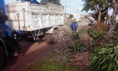 Asignan d�as especiales para sacar ramas, podas y pasto en Mar Chiquita