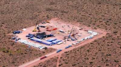 Vaca Muerta: La c�scara de man� abri� el mercado de las mantas oleof�licas