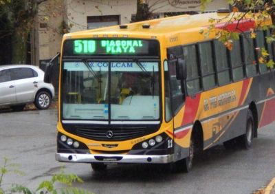 �Algunos municipios se podr�an quedar sin transporte p�blico de micros�