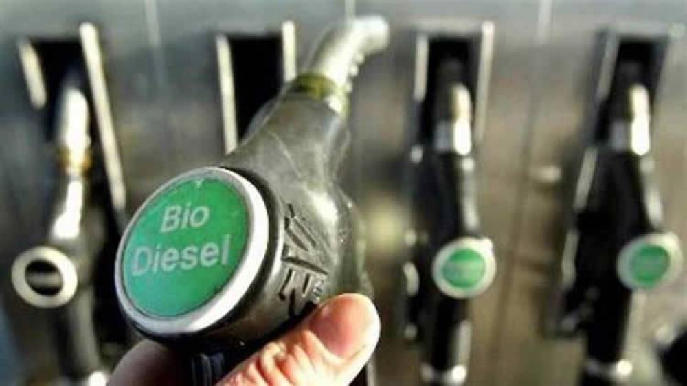 Descartan que el Biodiesel sea el causante de la variacin del precio del gasoil en el surtidor