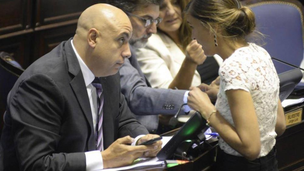 Diputados de Vidal apuestan a potenciar las murgas para contener la crisis social
