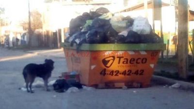 Agregan contenedores para facilitar la normalizaci�n del servicio de recolecci�n