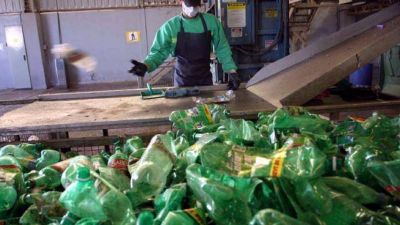 El cooperativismo apuesta por energ�as alternativas