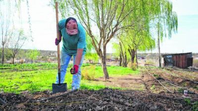 Una familia puede evitar arrojar 30 kg de residuos a la basura al mes