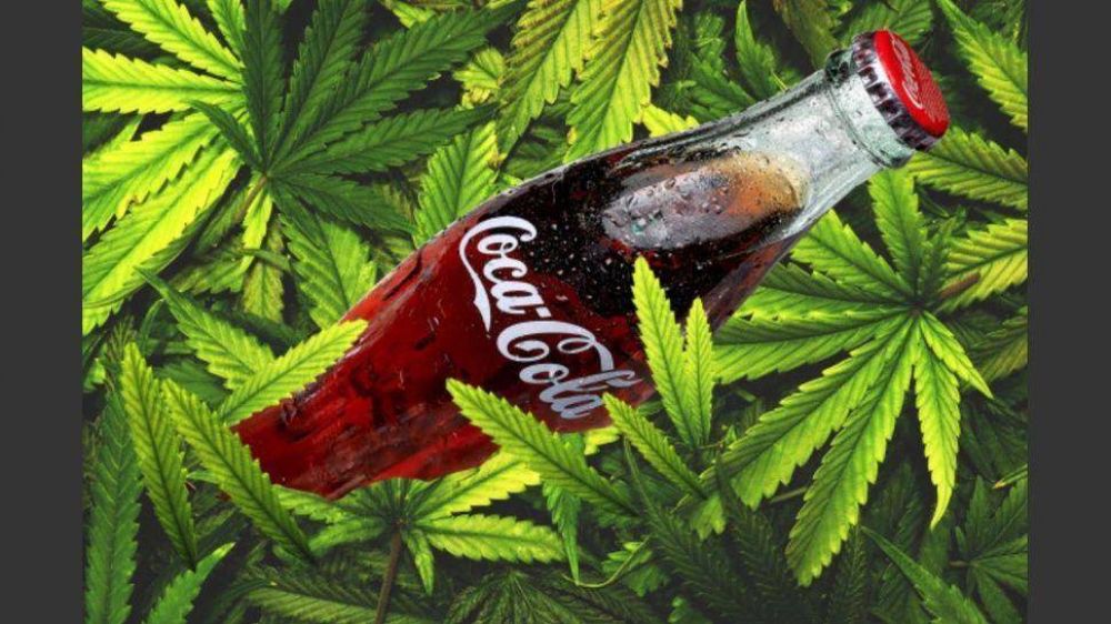 La compaa Coca-Cola estudia hacer una bebida de cannabis