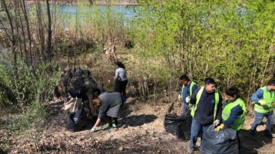 Sacaron diez mil kilos de basura del r�o Limay en Neuqu�n