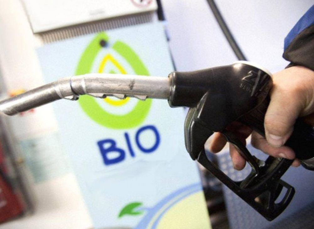 La producci�n de bioetanol ser�a r�cord en 2018