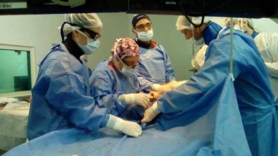 El hospital San Mart�n de La Plata hizo el primer reemplazo de v�lvula a�rtica sin cirug�a