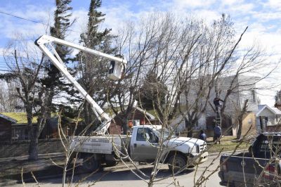 Remoci�n de mini basurales, saneamiento y limpieza en barrios perif�ricos