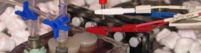 Investigadores promueven el reciclaje de las aguas industriales en las pymes a nivel Iberoam�rica
