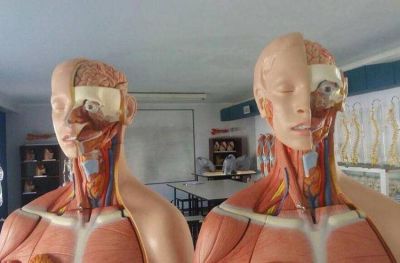 M�s de 2200 aspirantes completaron la inscripci�n a Medicina