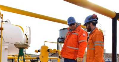 PECOM estrena nueva marca