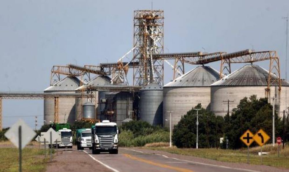 Acopiadores de cereales advierten las consecuencias de los impuestos a la exportaci�n en el Presupuesto 2019