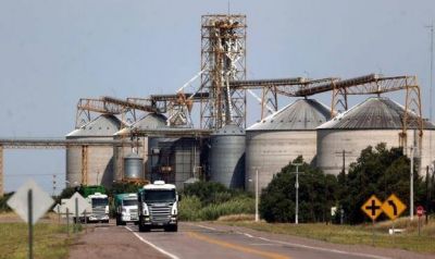 Acopiadores de cereales advierten las consecuencias de los impuestos a la exportaci�n en el Presupuesto 2019