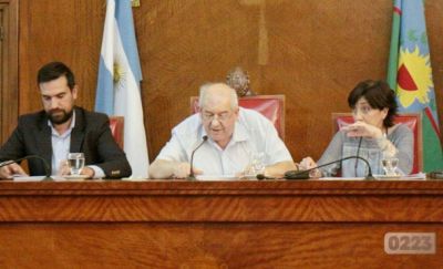 Defensor del Pueblo: la Justicia hizo lugar al amparo y votar�n 205 ONGs