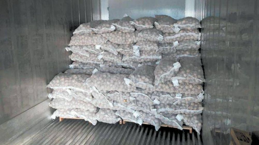De la mano de Pepsico, una empresa export papas semilla a Vietnam