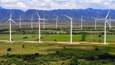 Energ�a e�lica: mayor aporte a la demanda el�ctrica global