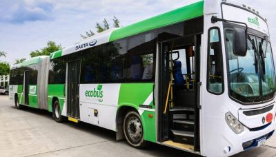 Salta utilizar� biodiesel en el transporte de pasajeros