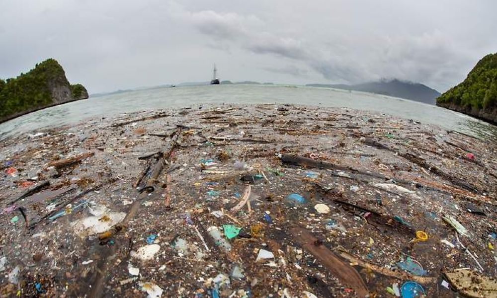 Coca-Cola busca emprendedores para combatir la basura marina