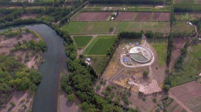 Centenario tiene su planta al l�mite y necesita fondos