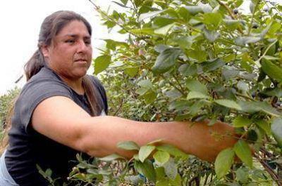 La UATRE y OSPRERA celebran el D�a de la trabajadora rural