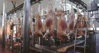 Cu�les fueron los alimentos que m�s subieron en septiembre