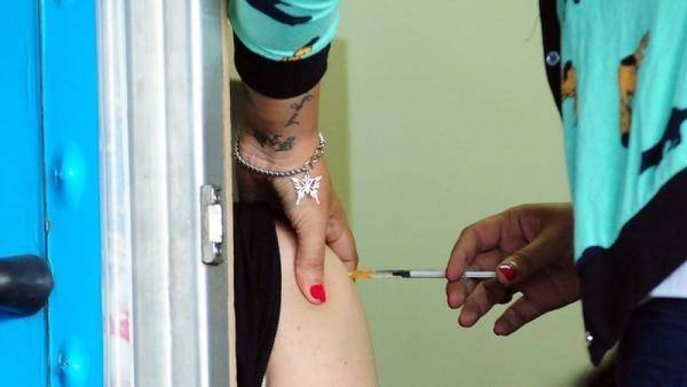 Vacaciones en Brasil: aumenta la demanda de la vacuna contra la fiebre amarilla y ya hay demoras para sacar turno