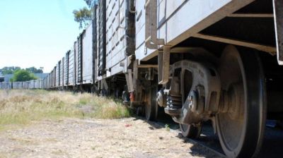 Licitan el cupo de cargas para el tren a Vaca Muerta
